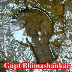 gupt-bhimashankar